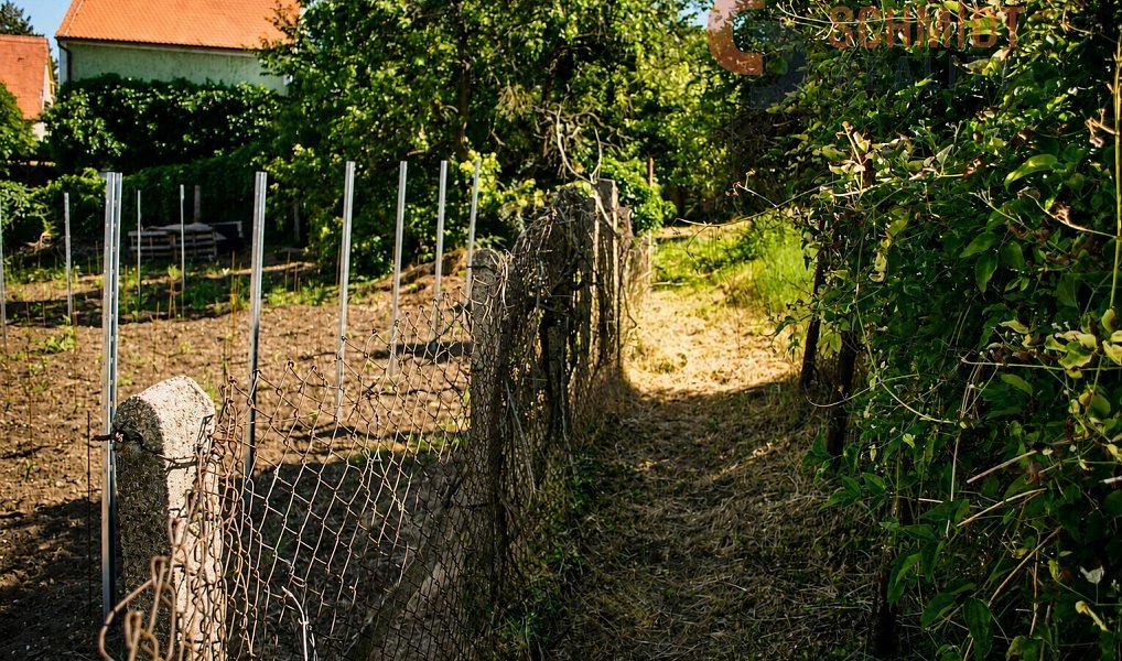 Prodej stavebního pozemku 849 m², Pavlov – náhled fotky 3