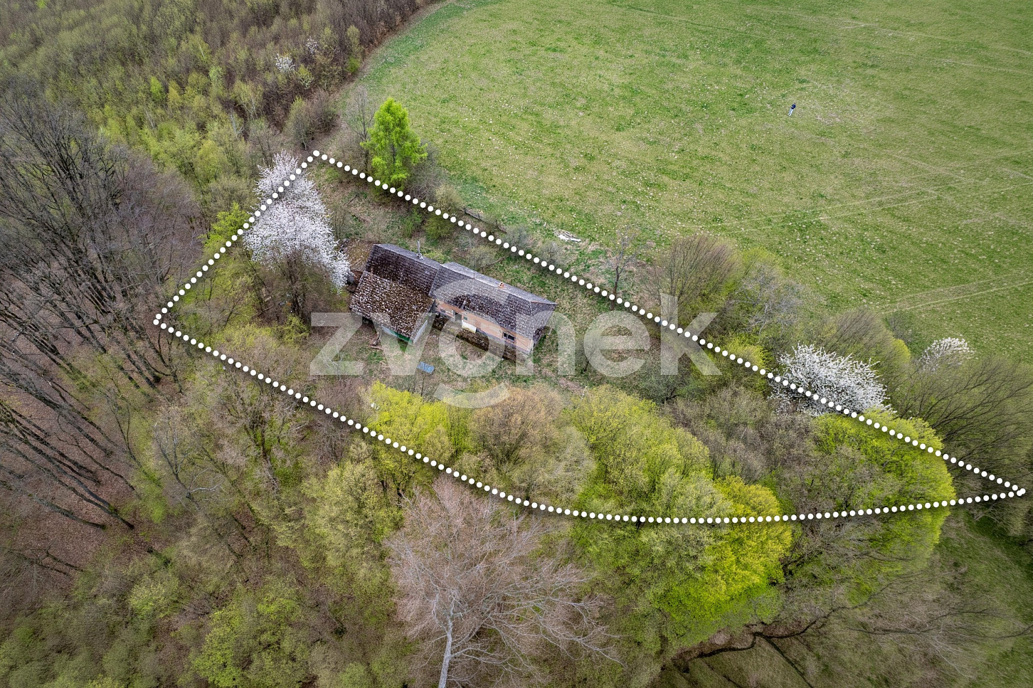 Prodej domu 210 m² s pozemkem 3 984 m² — photo 5