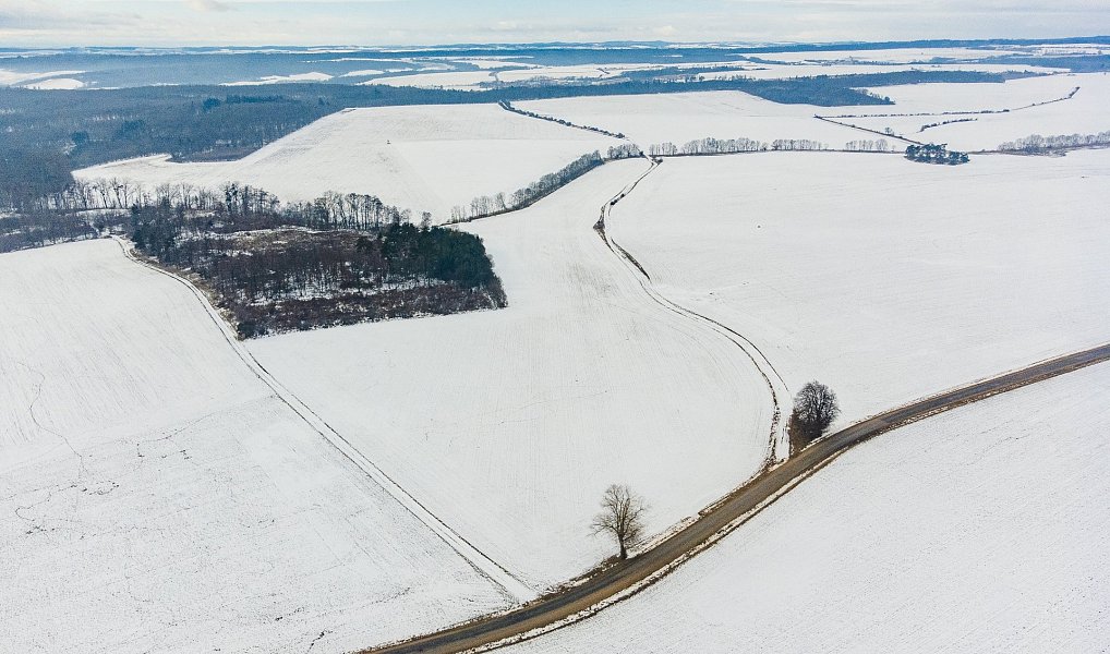 Prodej pole 54 498 m², Běhařovice – náhled fotky 3