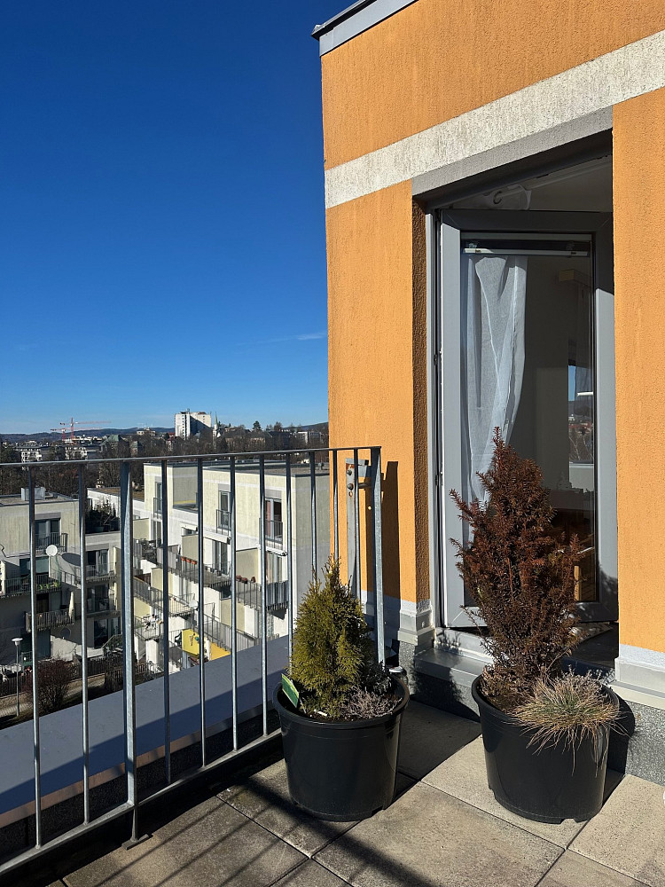 Pronájem bytu 1+1 58 m² - Widok 5