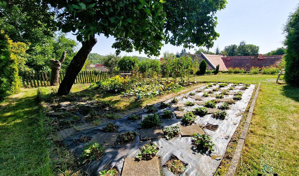 Prodej domu 100 m² s pozemkem 570 m², Hřivice – náhled fotky 13