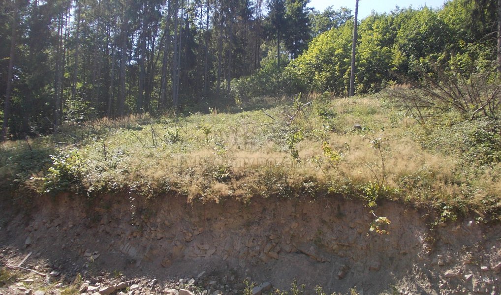 Prodej chaty/chalupy 36 m² s pozemkem 3 955 m², Pstruží – náhled fotky 6