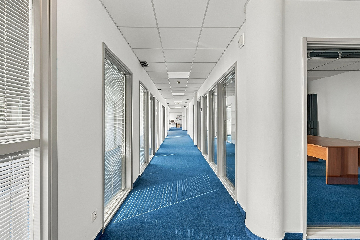Fotka 9 z 12