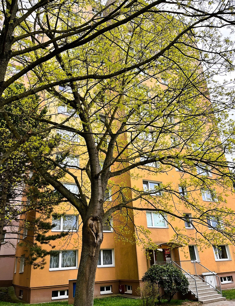 Prodej bytu 1+1 39 m²