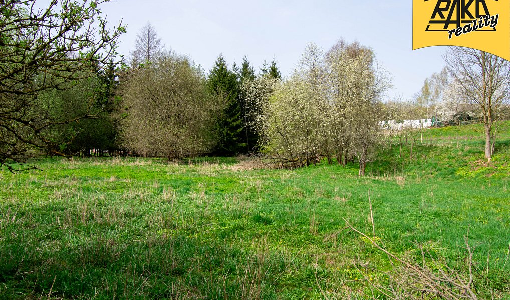 Prodej stavebního pozemku 4 486 m², Mladé Buky – náhled fotky 6