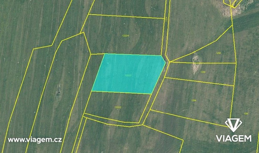 Prodej pole 1 692 m², Olešnice – náhled fotky 4