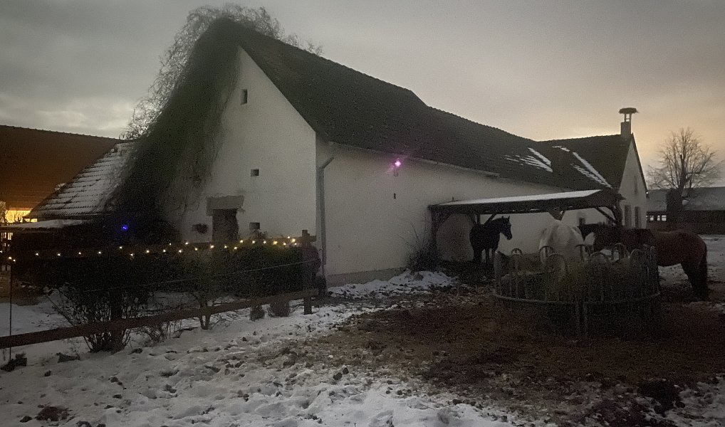 Prodej komerčního objektu (jiného typu) 28 792 m², Pluhův Žďár – náhled fotky 11