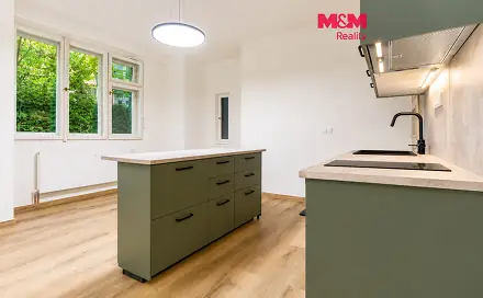 Prodej bytu 1+kk 46 m², Dlouhá, Praha 1 - Staré Město