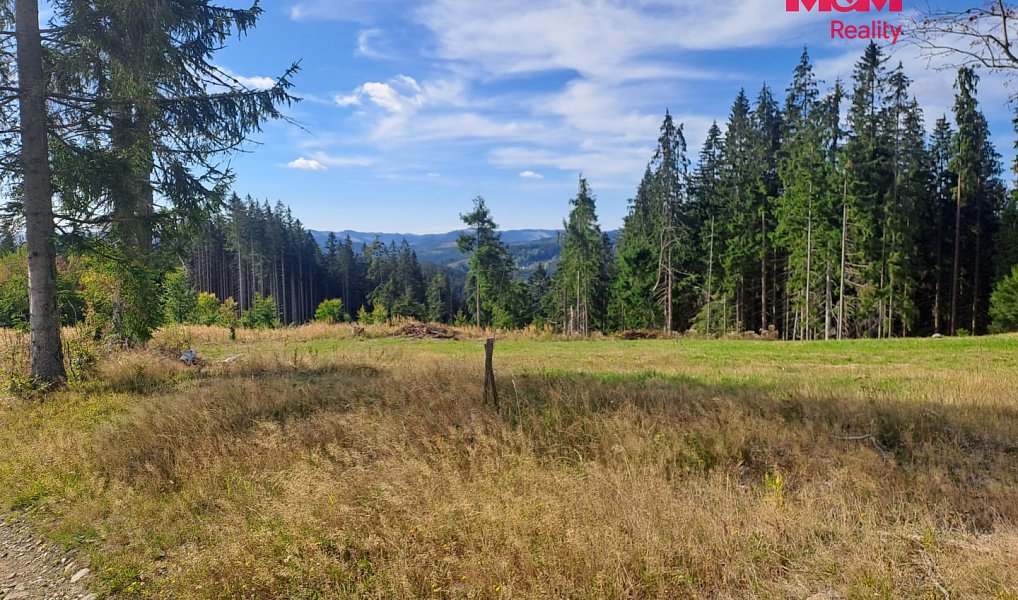 Prodej chaty/chalupy 100 m² s pozemkem 1 357 m², Bílá – náhled fotky 14