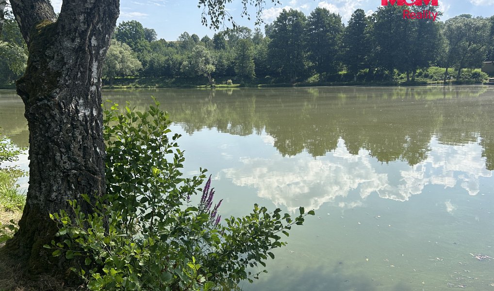 Prodej stavebního pozemku 3 689 m², Zbraslavice – náhled fotky 7
