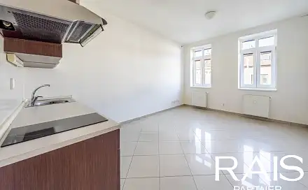 Prodej bytu 1+kk 30 m², Svitavská, Brno - Husovice