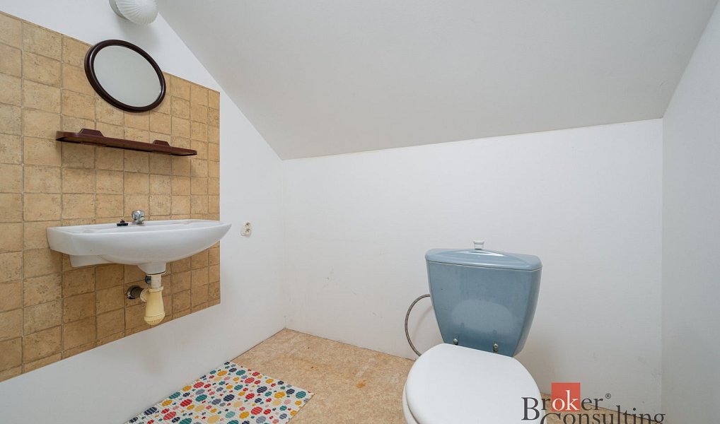 Prodej domu 165 m² s pozemkem 1 016 m², Boseň – náhled fotky 19
