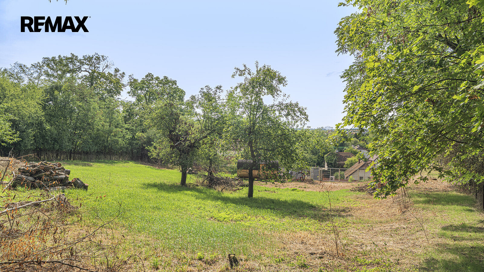 Fotka 7 z 13