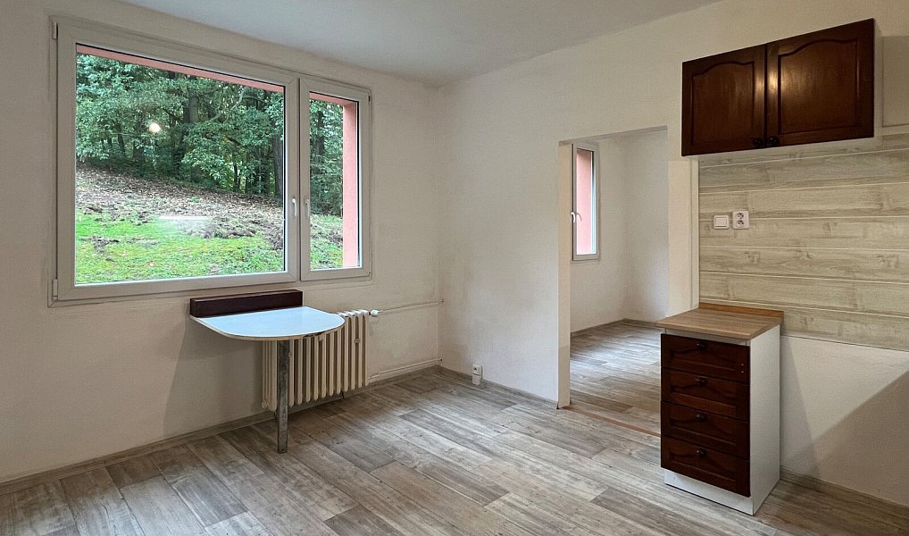 Prodej bytu 1+1 35 m², Ústí nad Labem – náhled fotky 4