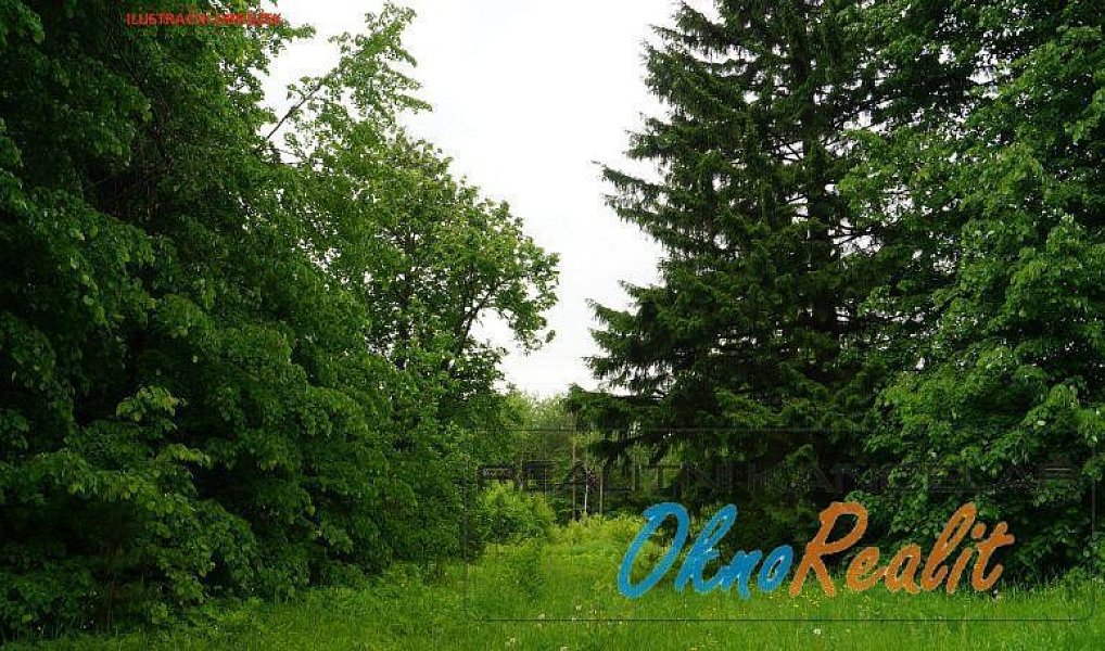 Prodej lesa 15 009 m², Kostelní Lhota – náhled fotky 2