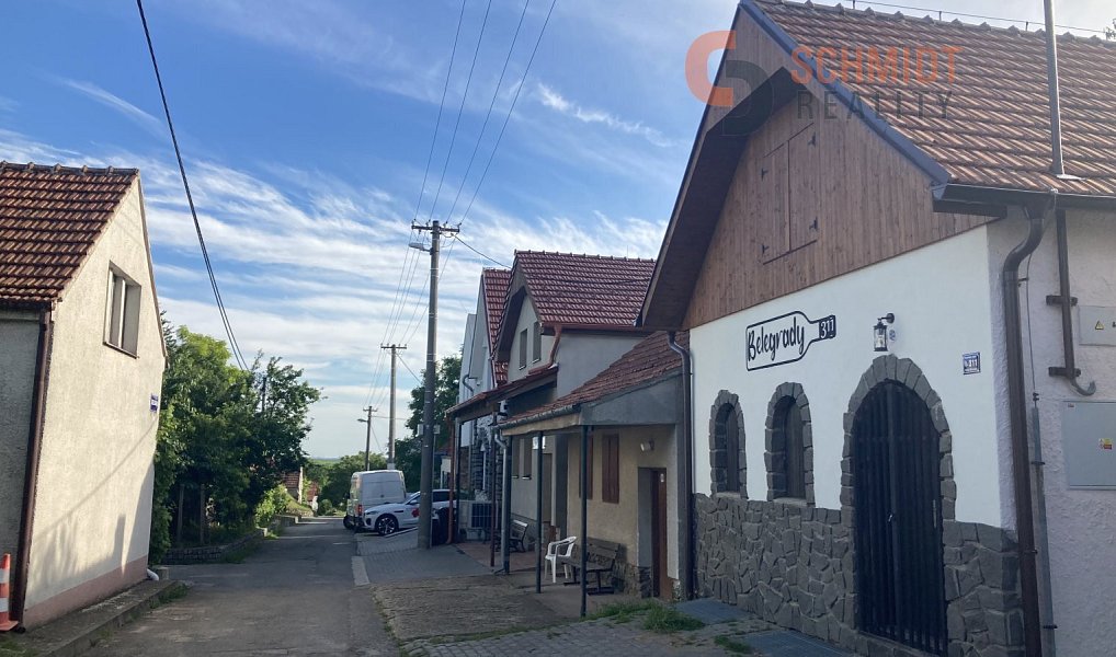 Pronájem ubytovacího objektu 139 m², Velké Bílovice – náhled fotky 2