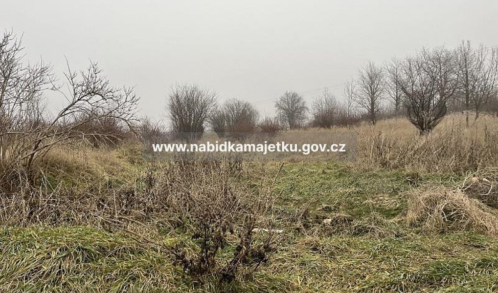 Prodej pozemku 3 160 m², Bečov – náhled fotky 4