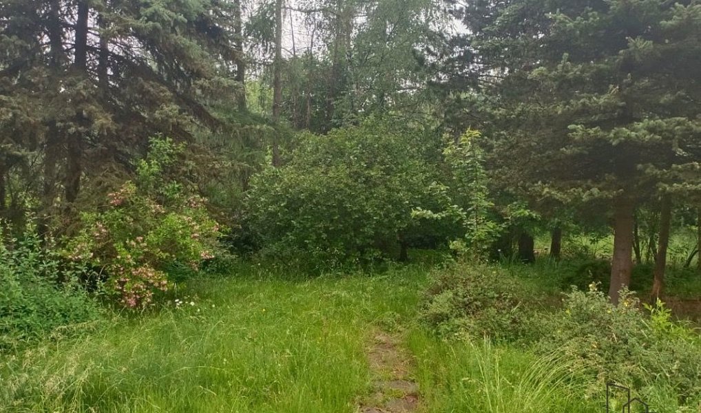 Prodej chaty/chalupy 36 m² s pozemkem 38 m², Velké Chvojno – náhled fotky 12