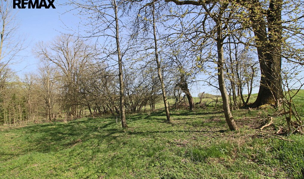 Prodej zemědělského objektu 247 m², Chodová Planá – náhled fotky 28