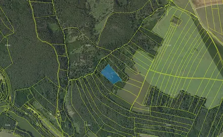 Prodej lesa 7 691 m², Horní Loučky, okres Brno-venkov