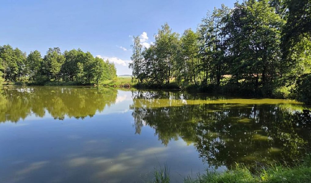 Prodej vodní plochy 18 189 m², Slezské Rudoltice – náhled fotky 6