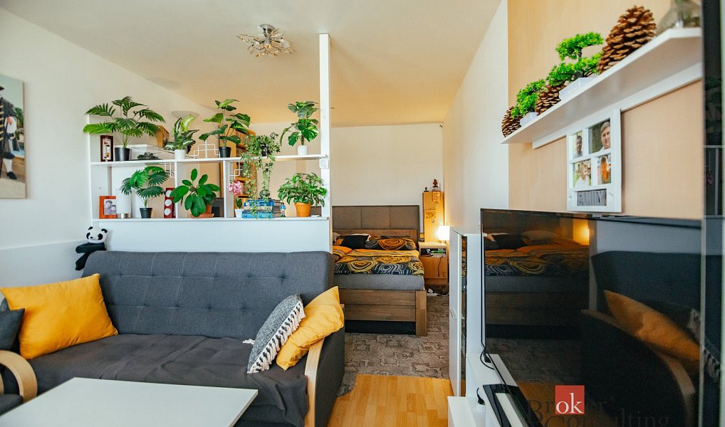 Prodej bytu 2+1 60 m², Opočno – náhled fotky 7