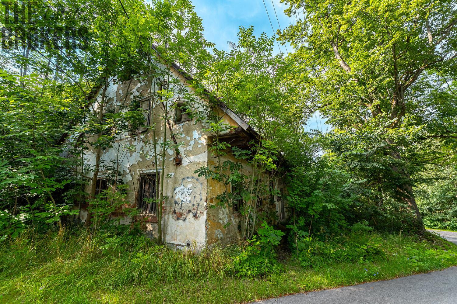 Prodej stavebního pozemku 7 977 m² – fotografie 4