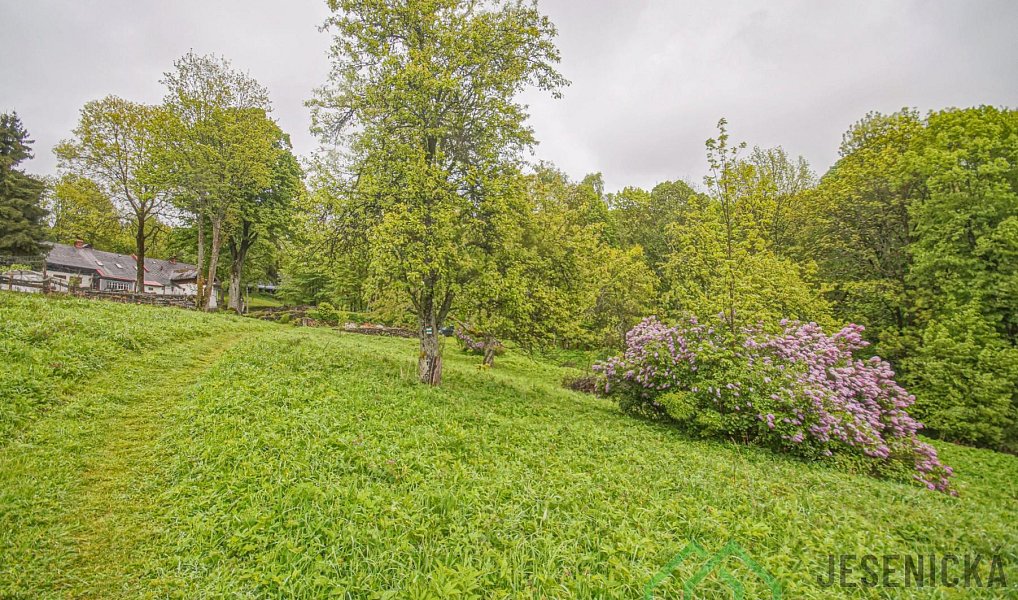 Prodej louky 2 772 m², Branná – náhled fotky 7