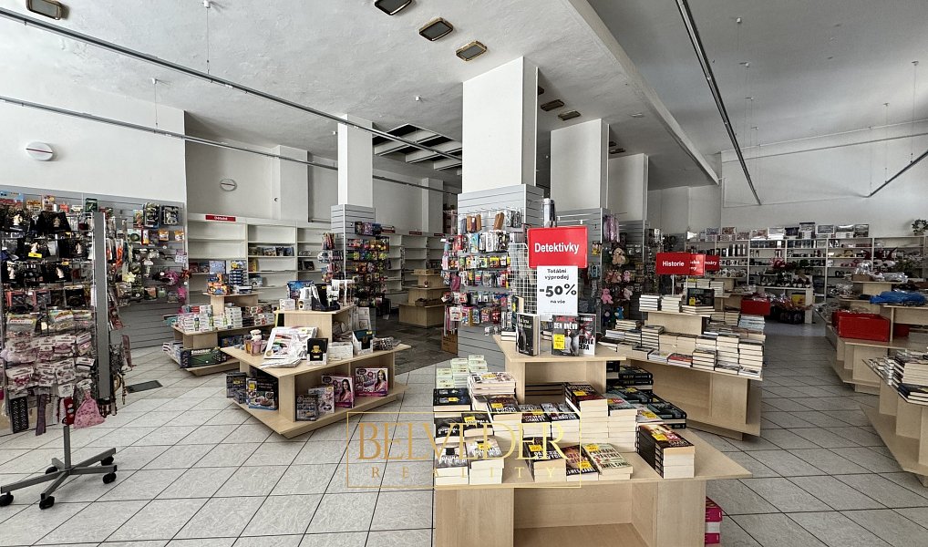 Pronájem obchodních prostor 441 m², Teplice – náhled fotky 4