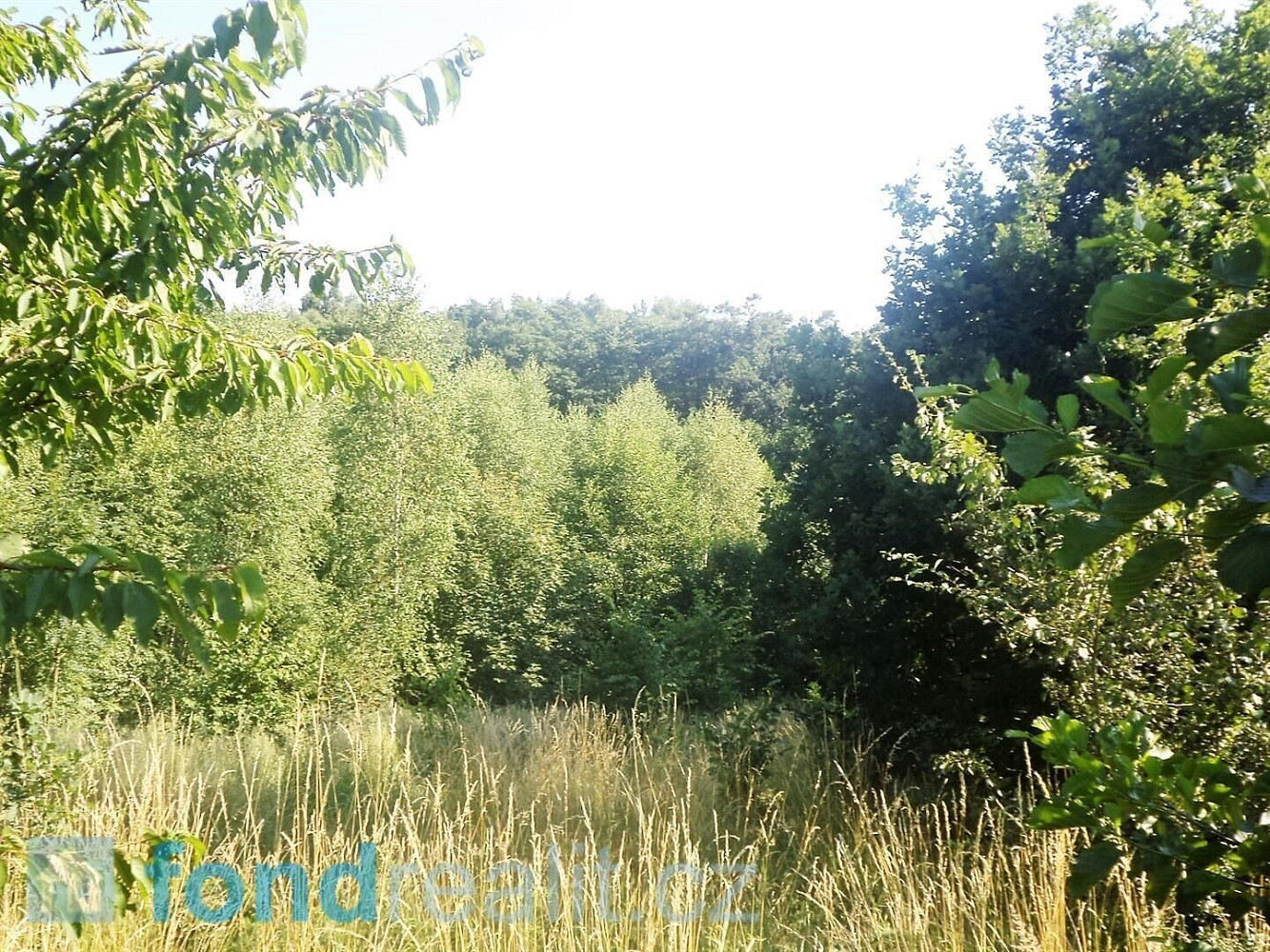 Prodej pozemku 2 629 m²
