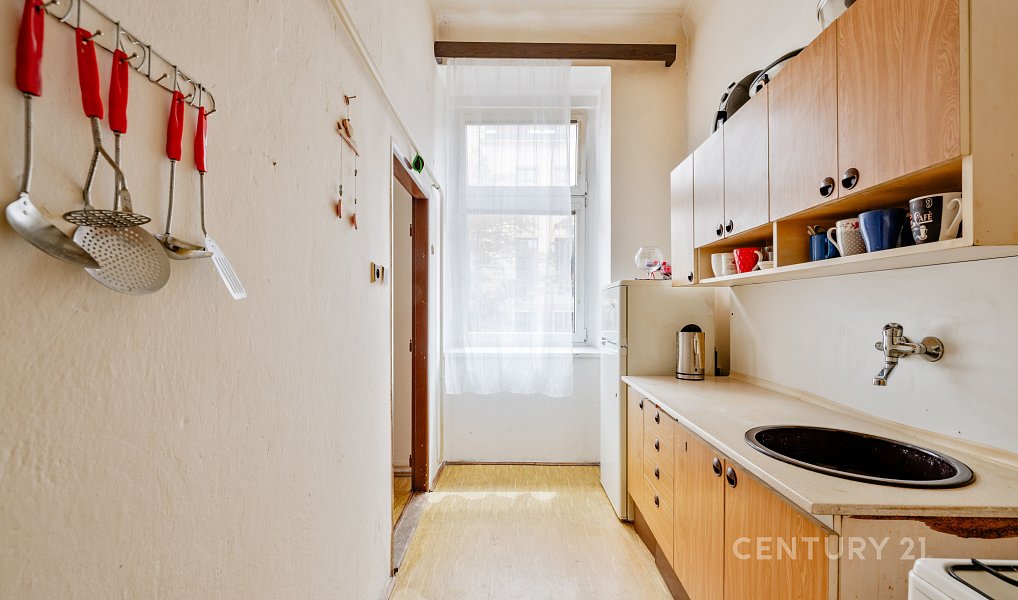 Prodej bytu 2+1 51 m², České Budějovice – náhled fotky 12