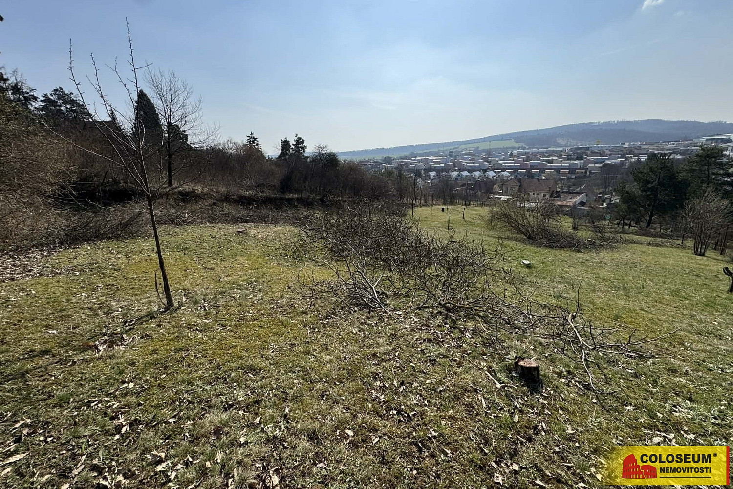 Prodej zahrady 1 750 m² – fotografie 5