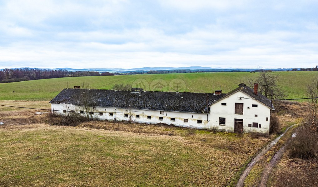 Prodej domu 600 m² s pozemkem 3 000 m², Puclice – náhled fotky 20