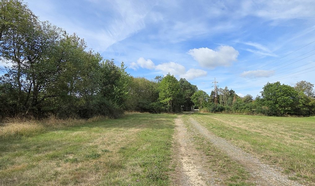 Prodej stavebního pozemku 14 793 m², Drásov – náhled fotky 7