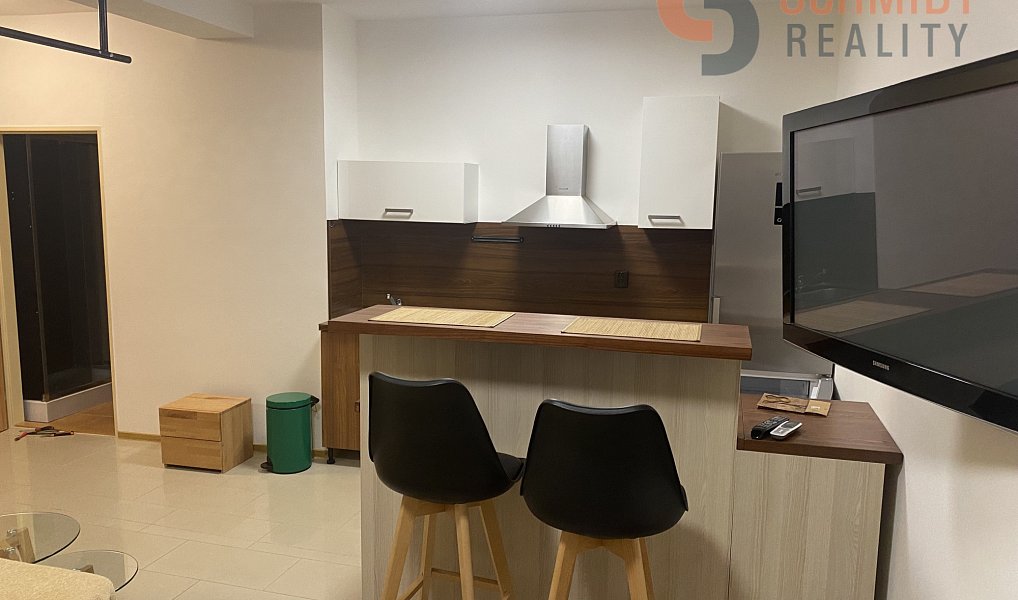 Pronájem bytu 1+kk, 40 m², Břeclav, Hustopeče