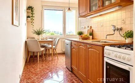 Pronájem bytu 2+1 62 m², Opálkova, Brno - Bystrc