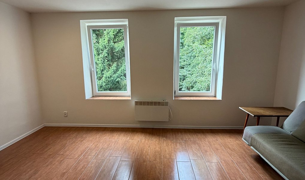 Pronájem bytu 1+kk 23 m², Trutnov – náhled fotky 4