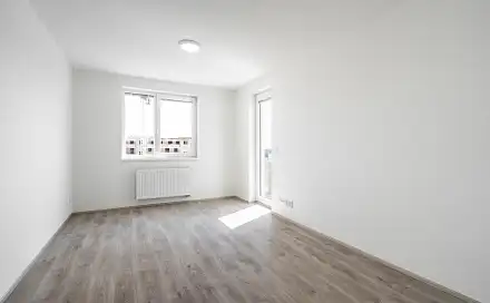 Pronájem bytu 2+kk 44 m², Technická, Plzeň - Jižní Předměstí