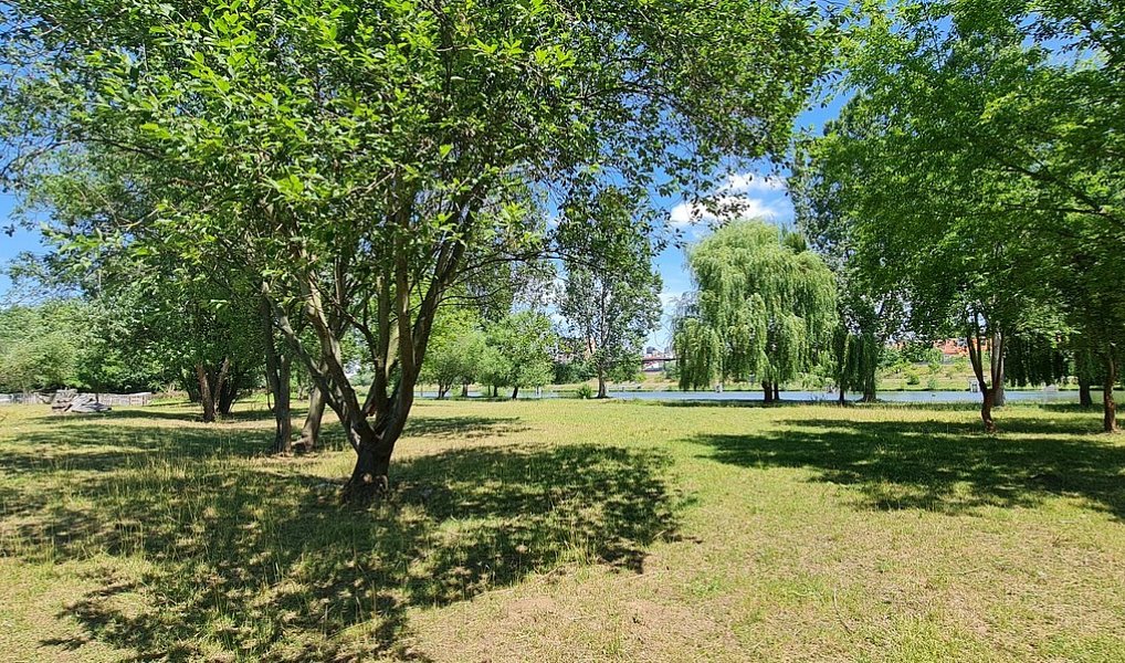 Prodej pozemku 10 828 m², Praha – náhled fotky 3