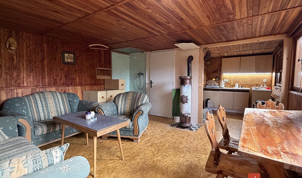 Prodej domu 50 m² s pozemkem 40 m², Stříbro – náhled fotky 4