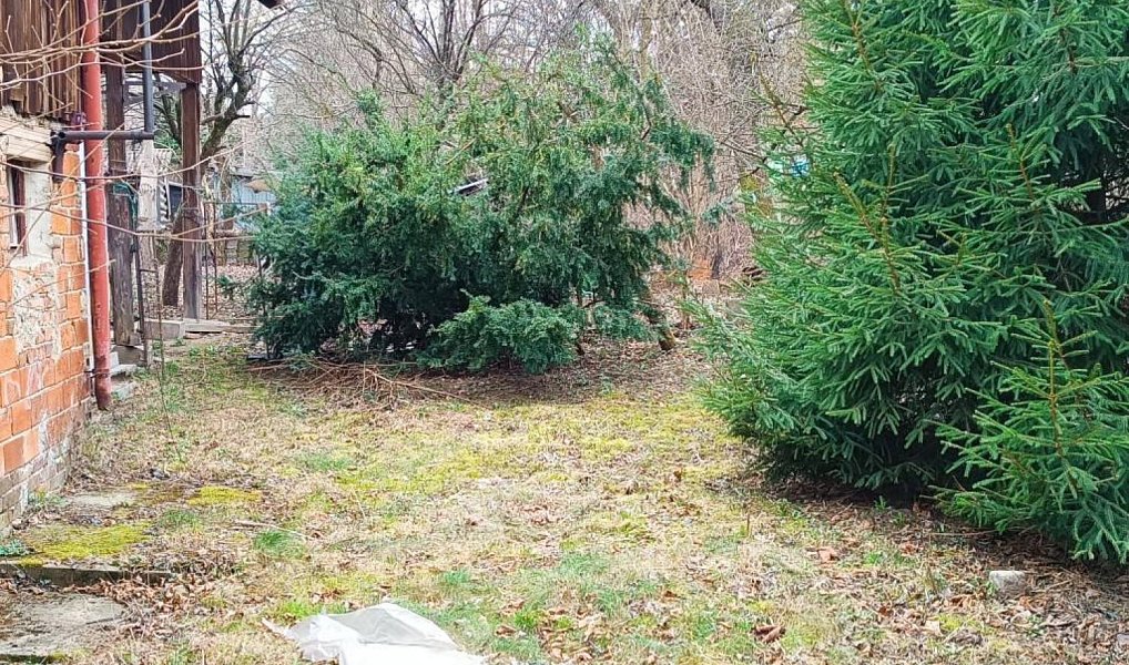 Prodej domu 356 m² s pozemkem 1 111 m², Proseč – náhled fotky 13