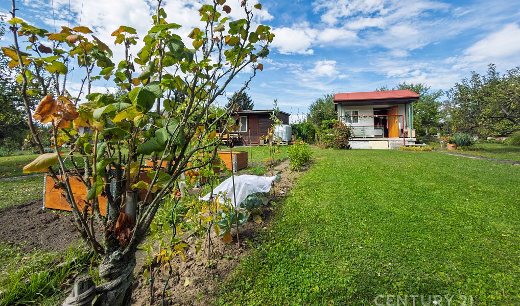 Prodej chaty/chalupy 17 m² s pozemkem 350 m², Nový Jičín – náhled fotky 15