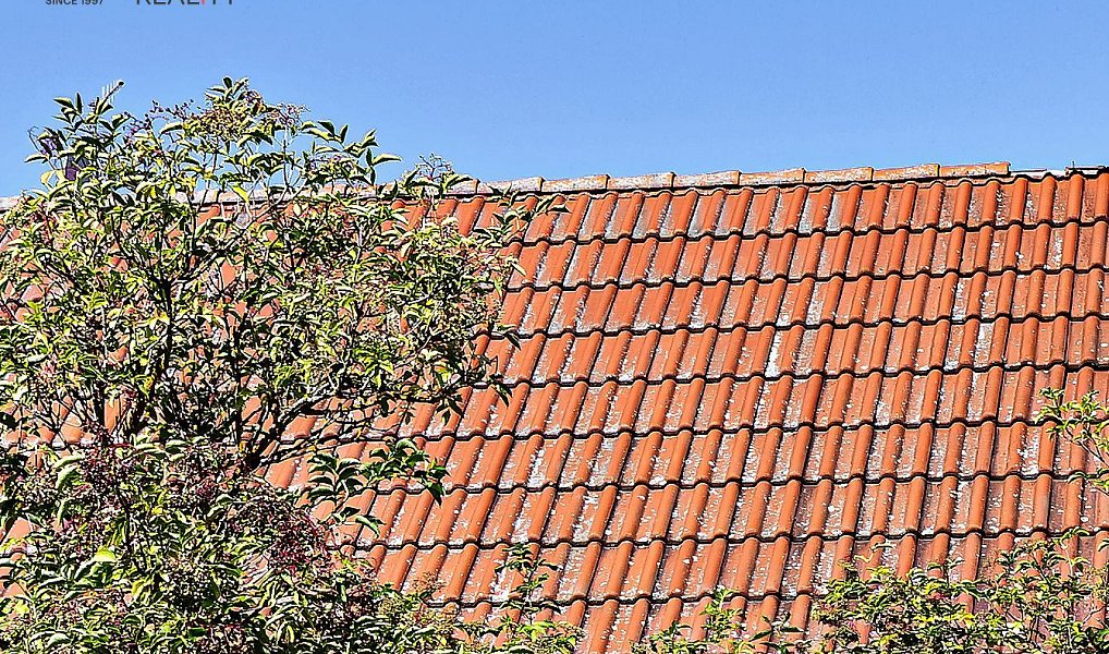 Prodej domu 220 m² s pozemkem 3 038 m², Mořina – náhled fotky 24