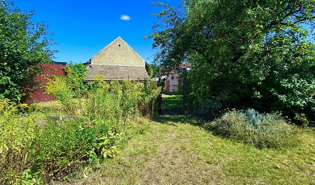Prodej domu 252 m² s pozemkem 2 927 m², Krabčice – náhled fotky 8