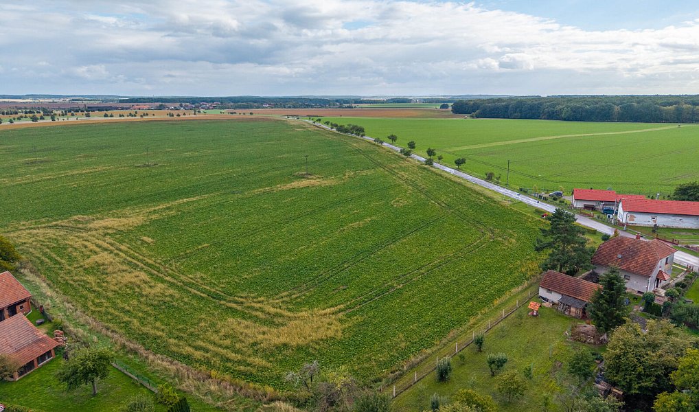 Prodej stavebního pozemku 3 812 m², Šaplava – náhled fotky 9