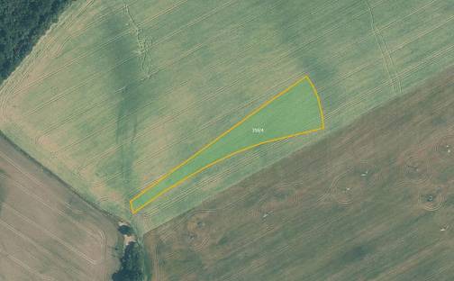 Prodej pole 6 765 m², Bystřice pod Hostýnem, okres Kroměříž