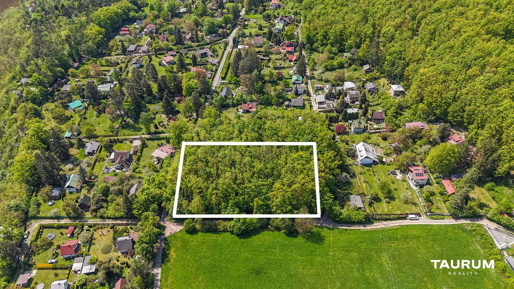 Prodej lesa 6 490 m² – fotografie 2