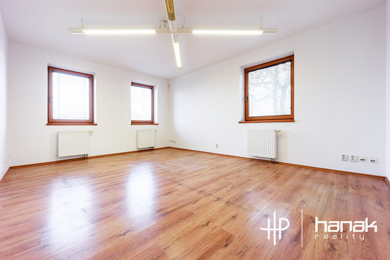 Prodej domu 259 m² s pozemkem 2 016 m² – fotografie 4