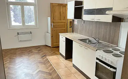 Pronájem bytu 1+1 44 m²