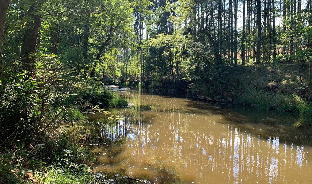 Prodej chaty/chalupy 89 m² s pozemkem 59 m², Střelice – náhled fotky 45